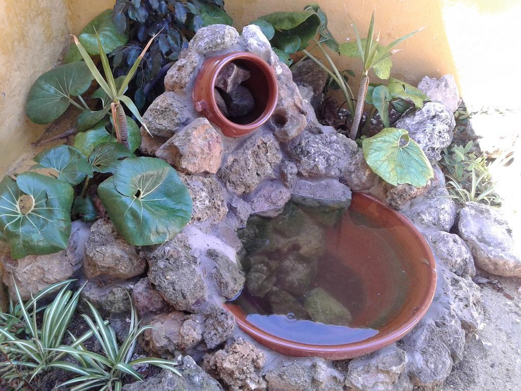אל פלמאר La Morera, El Palmar חדר תמונה